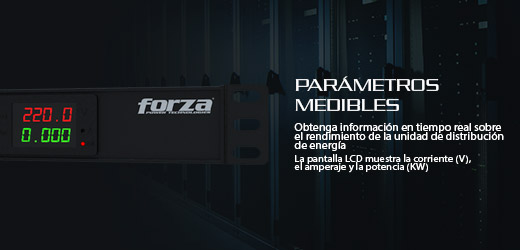PDU Rackeable Forza 10 Tomas C13/C19, 4000W, 220V, 1U, LCD 13 Banner 2 rs SPA FPD 1012M1U