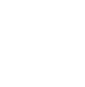 FPP-T300_Icono_02.png