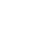 FPP-T300_Icono_04.png